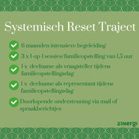 Systemisch Reset Traject