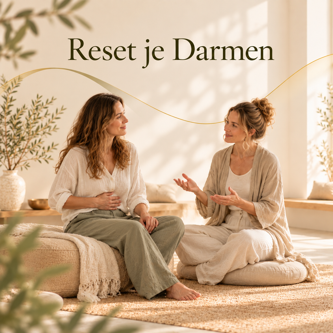 Reset je Darmen