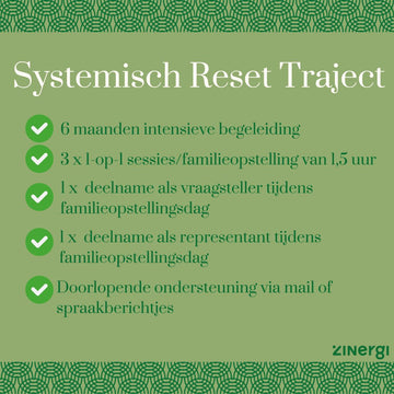 Systemisch Reset Traject